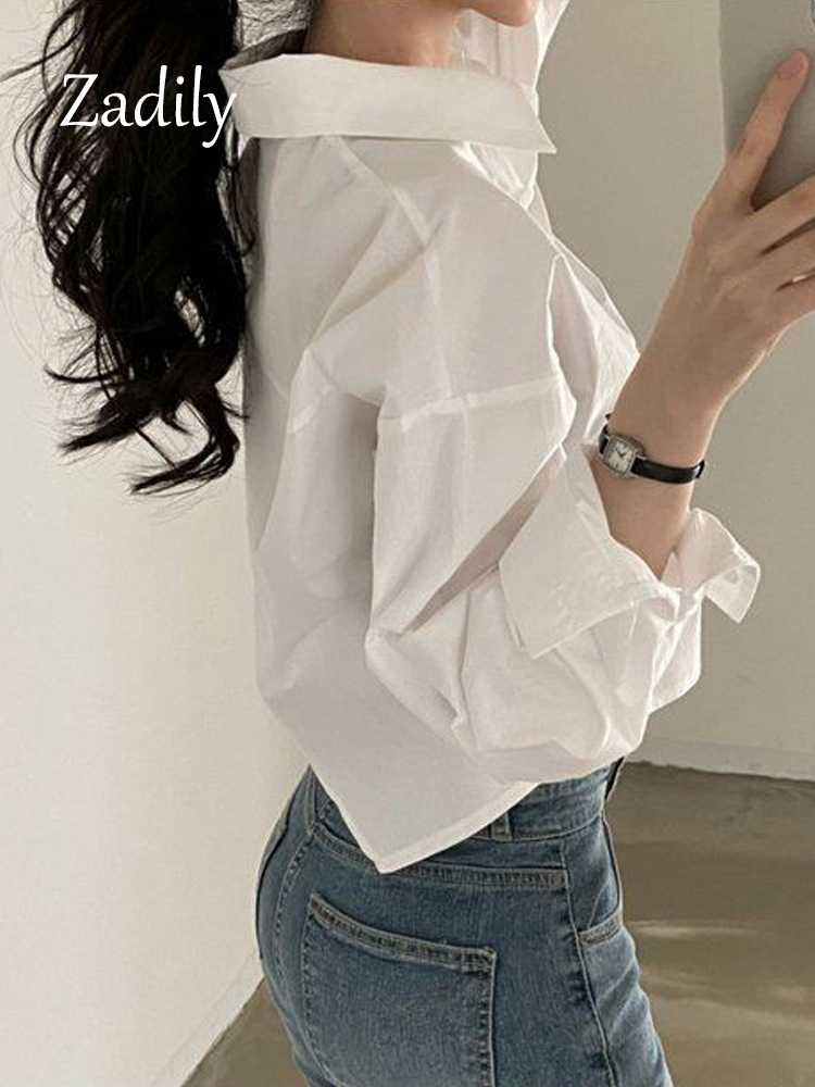 Zadily 2023 봄 새 캐주얼 긴 소매 여성 흰색 - Summer Clothing Drop 리뷰 및 가격