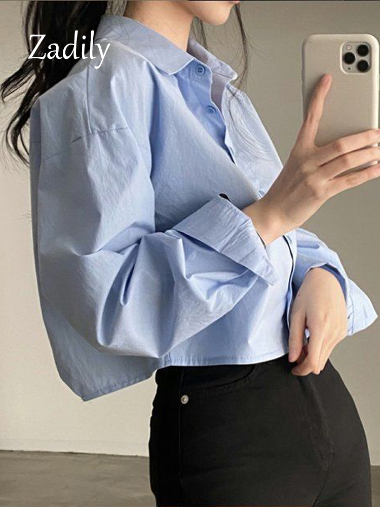 Zadily 2023 봄 새 캐주얼 긴 소매 여성 흰색 - Summer Clothing Drop 리뷰 및 가격